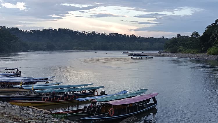 During your travel to Ecuador from the Andes to the Amazon Rain Forest you will have the unique opportunity to see the Amazon Rain Forest