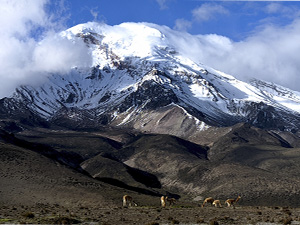 View of Chimborazo Volcano