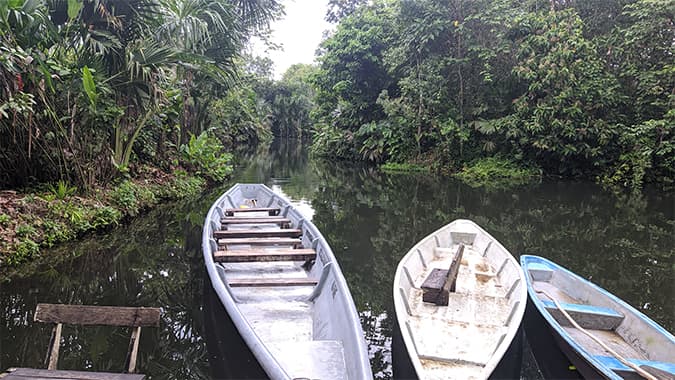 Paikawe lagoon-Amazon Rain Forest Misahualli