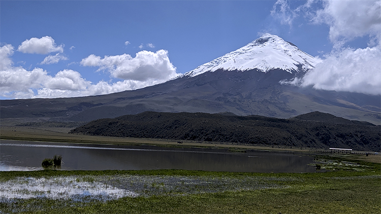 View of Cotopaxi Volcano from Limpiopungo lagoon 