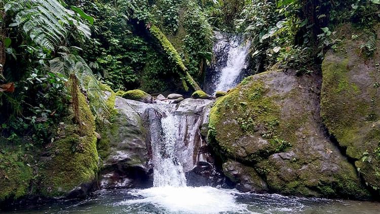 Mindo Nambillo waterfall 
